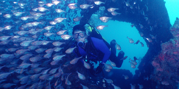 Dive With South Florida Diving Headquarters
